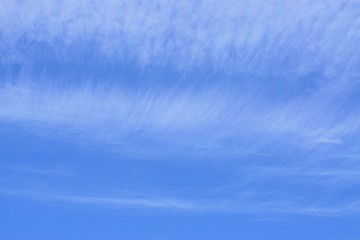 Fototapeta premium 青空