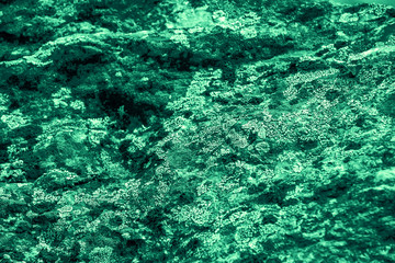 Vintage green background. Rough painted wall of emerald color. Imperfect plane of virid colored. Uneven old decorative toned backdrop of green tint. Texture of emerald hue. Ornamental stony surface.