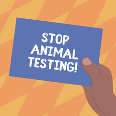 Text sign showing Stop Animal Testing. Conceptual photo scientific experiment which live animal forced undergo Drawn Hu analysis Hand Holding Presenting Blank Color Paper Cardboard photo