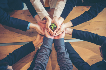 Fototapeta Hand stacked ecosystem human relationships collaboration partners hands together sustainability organization. Green ecosystem company union partners team with hands together holding eco green plant  obraz