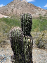 Arizona Desert Hiking
