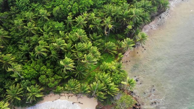 Aerial Forward/Pan Right: Vibrant Blue Ocean Waves Leading To Palm Tree Shore - Little Corn Island, Nicaragua