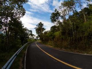 Landscape in countryside road