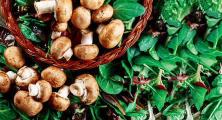 Champignon mushrooms, on a fresh salad leaves background © ungvar