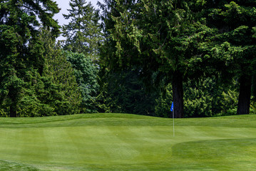 Fototapeta premium Sunny day on the golf course, golf green and pin with blue flag surrounded by trees