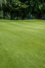 Sunny day on the golf course, golf green and pin with blue flag surrounded by trees