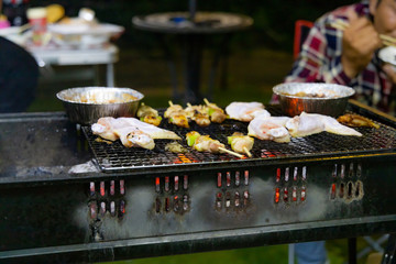 日本　バーベキュー　庭　手羽先　炭　キャンプ