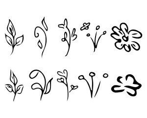 Flowers and branches isolated on white background. Hand drawn doodle collection. 10 floral graphic elements. Big vector set. Outline icons