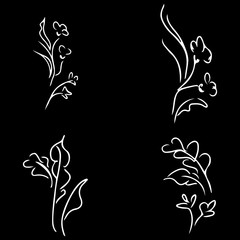 Flowers and branches isolated on black background. Hand drawn doodle collection. 4 floral graphic elements. Big vector set. Outline icons