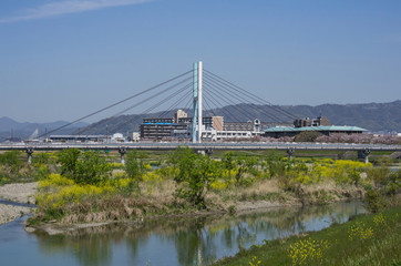 春の猪名川神津大橋・斜張橋と河川