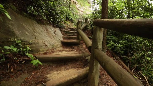 Nature Hike at Natural Bridge State Park, Kentucky