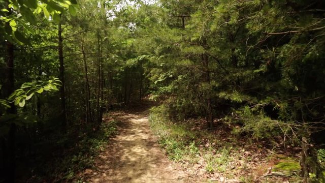 Nature Hike at Natural Bridge State Park, Kentucky