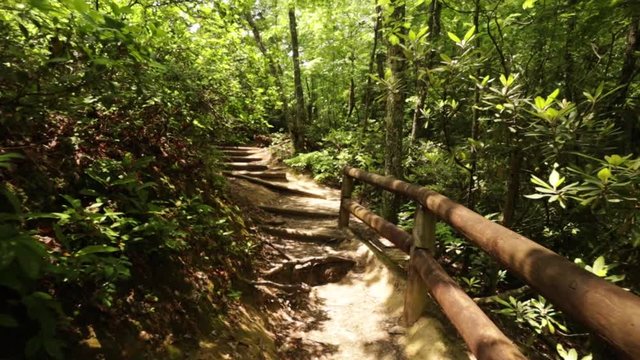 Nature Hike at Natural Bridge State Park, Kentucky