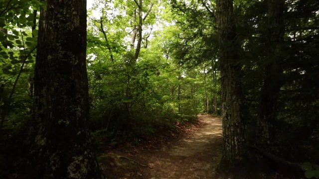 Nature Hike at Natural Bridge State Park, Kentucky