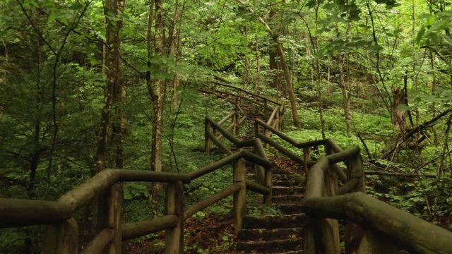 Nature Hike at Natural Bridge State Park, Kentucky