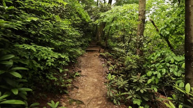 Nature Hike at Natural Bridge State Park, Kentucky