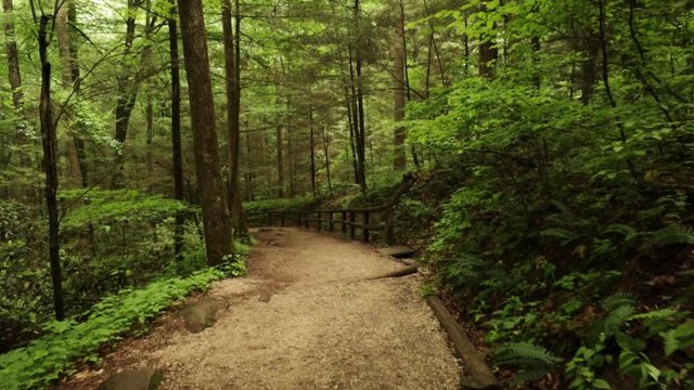 Nature Hike at Natural Bridge State Park, Kentucky