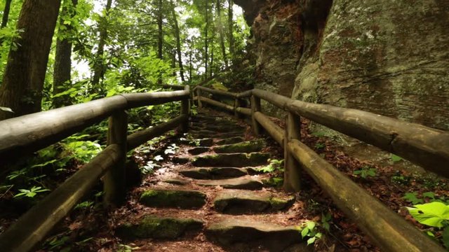 Nature Hike at Natural Bridge State Park, Kentucky