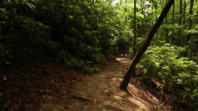 Nature Hike at Natural Bridge State Park, Kentucky