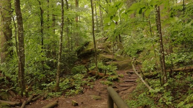 Nature Hike at Natural Bridge State Park, Kentucky