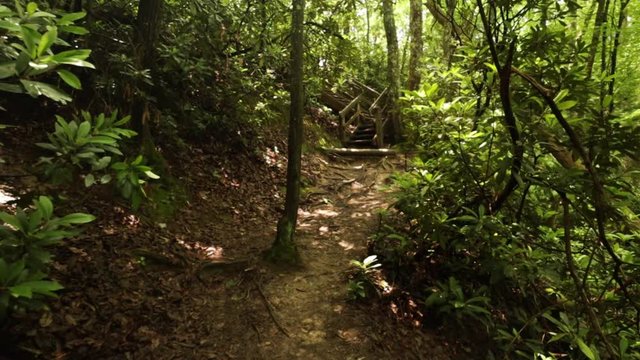 Nature Hike at Natural Bridge State Park, Kentucky