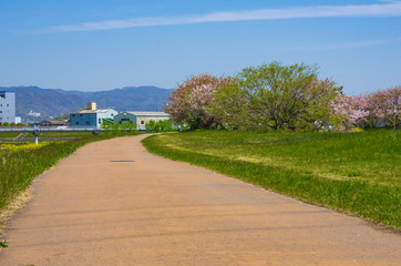 猪名川の堤防の風景