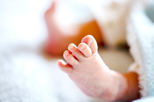 赤ちゃんの足首 Images Browse 54 Stock Photos Vectors And Video Adobe Stock