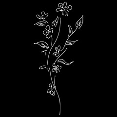 Abstract wildflowers outline icon isolated on black background. Creative luxury fashion logotype concept icon. Hand Drawn vector illustration. Wildflower logo. Sketch