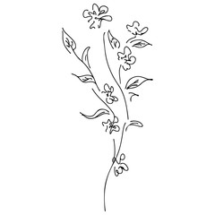 Fototapeta premium Abstract wildflowers outline icon isolated on white background. Creative luxury fashion logotype concept icon. Hand Drawn vector illustration. Wildflower logo. Sketch