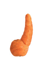 Trendy organic ugly carrot isolated on white background. Misshapen produce, deformed fruits and...