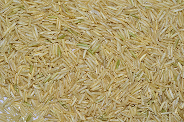 Brown Basmati Rice