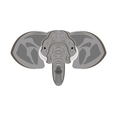Elephant head with ears, trunk and tusks, animal portrait as a mascot or safari trophy.