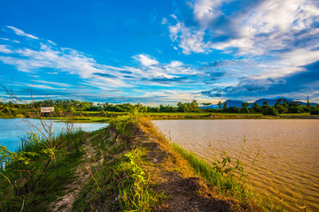 blue sky and white clouds.