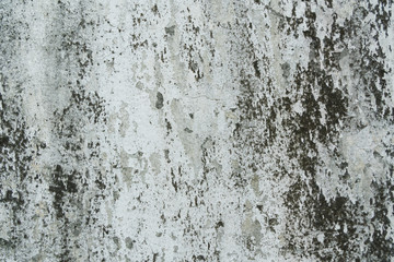 Old plaster wall