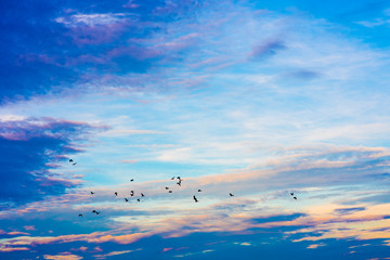 blue sky and white clouds.