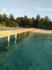 Fototapeta na wymiar MALDIVES