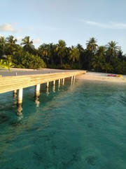 MALDIVES