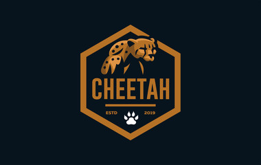 The image of a cheetah.