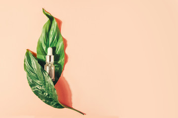 Bottle with natural serum with vitamins on a pink background. Cosmetic procedures for the face