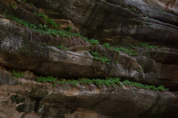 Fototapeta premium Starved Rock State Park, Illinois