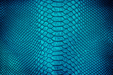 Close up of Luxury snake skin texture