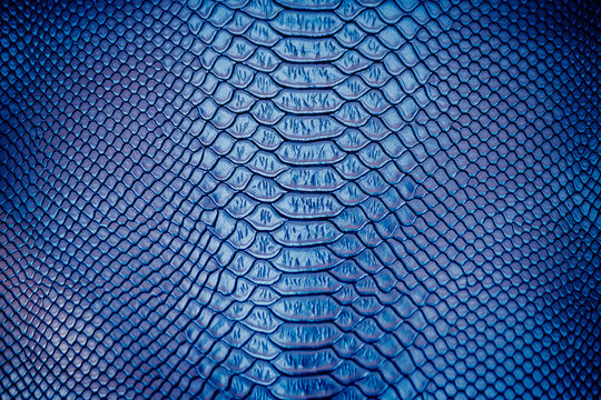 Close up of Luxury snake skin texture