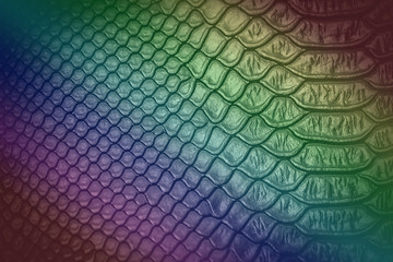 Black snake skin pattern texture