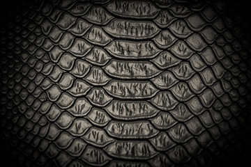 Black snake skin pattern texture