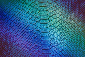 Close up of Luxury snake skin texture