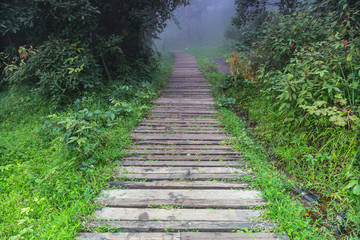 Obraz premium Drewniany most do natury