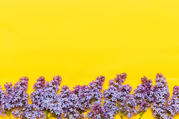 Decorative frame of lilac flowers and space for text. yellow background