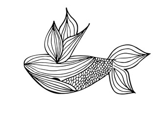 Abstract hand drawn whale isolated on white background.  illustration. Outline. Line art. Sketch