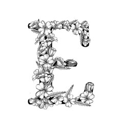 E is for Evening Primrose