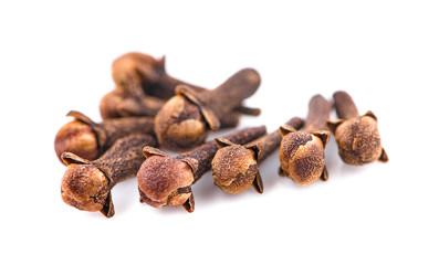dry cloves on white background